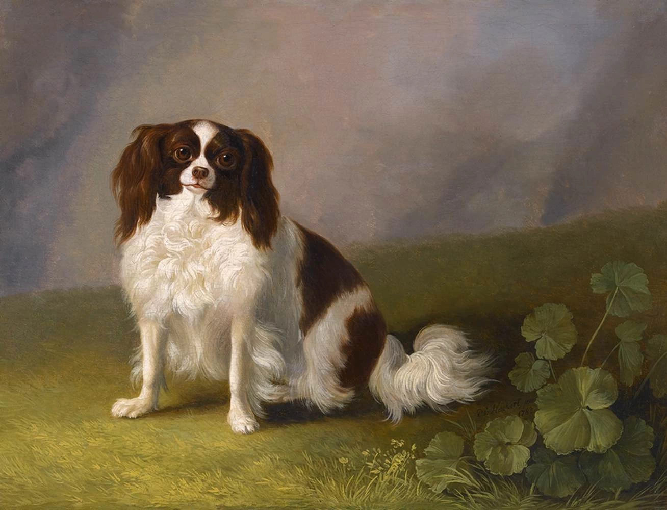 Ritratto di un King Charles Spaniel in un paesaggio
